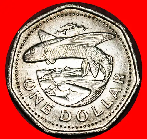 * GROSSBRITANNIEN (1988-2005): BARBADOS ★ 1 DOLLAR 1994! FISCH!   * GREAT BRITAIN: BARBADOS ★