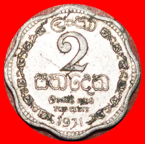 * BRITISH COMMONWEALTH LÖWE: CEYLON ★ 2 CENTS 1971!