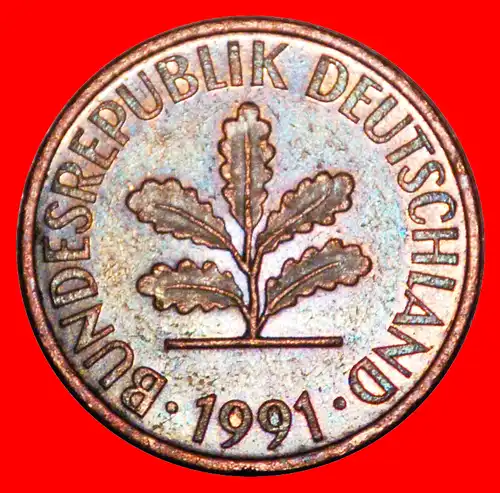 * EICHE (1950-2001): DEUTSCHLAND ★ 2 PFENNIG 1991D! VERÖFFENTLICHT WERDEN! *  GERMANY ★  TO BE PUBLISHED!