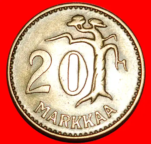 * KIEFER (1952-1962): FINNLAND ★ 20 MARK 1955H! STEMPEL B! * PINE TREE: FINLAND ★  DIE B!