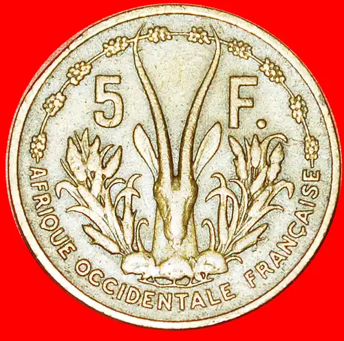 * FRANKREICH: FRANZÖSISCH-WESTAFRIKA ★ 5 FRANCS 1956!  * FRANCE: FRENCH WEST AFRICA ★