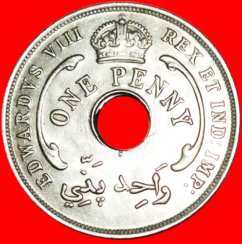 * GROSSBRITANNIEN DAVIDSTERN: BRITISCH-WESTAFRIKA ★ 1 PENNY 1936H! VZGL STEMPELGLANZ! * GREAT BRITAIN: BRITISH WEST AFRICA ★