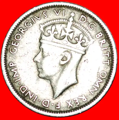 * GROSSBRITANNIEN: BRITISCH-WESTAFRIKA ★ 3 PENCE 1938H! GEORG VI. (1937-1952)  * GREAT BRITAIN: BRITISH WEST AFRICA ★