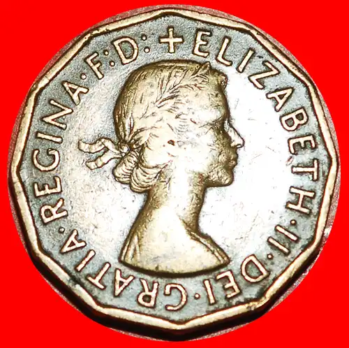 * FALLGATTER (1954-1970): GROSSBRITANNIEN ★ 3 PENCE 1955!  * PORTCULLIS: UNITED KINGDOM★ GREAT BRITAIN 