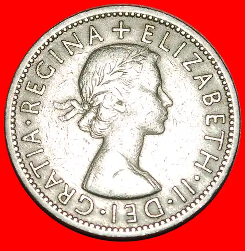 * TUDOR ROSE (1954-1970): GROSSBRITANNIEN ★ FLORIN 1956!  * UNITED KINGDOM★ GREAT BRITAIN 