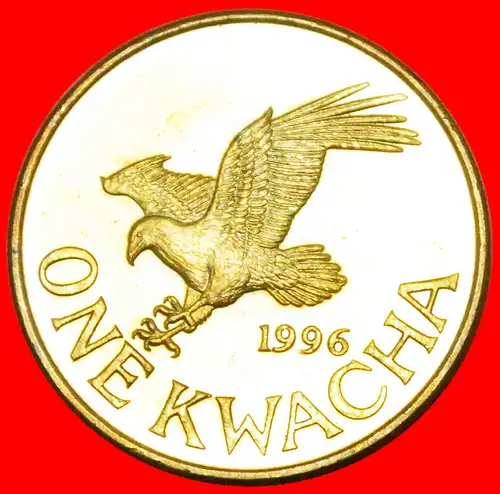 * SCHREISEEADLER: MALAWI★ 1 KWACHA 1996!