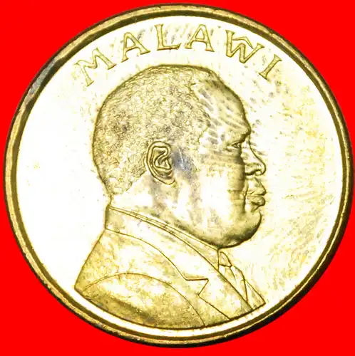 * SCHREISEEADLER: MALAWI★ 1 KWACHA 1996!