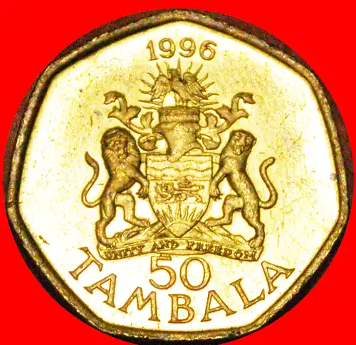 * SIEBENECK: MALAWI ★ 50 TAMBALA 1996 uSTG STEMPELGLANZ! 