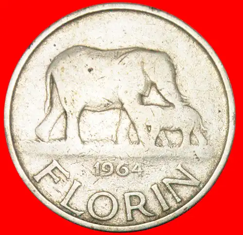 * ELEFANT: MALAWI ★ FLORIN 1964! JAHR=TYP!