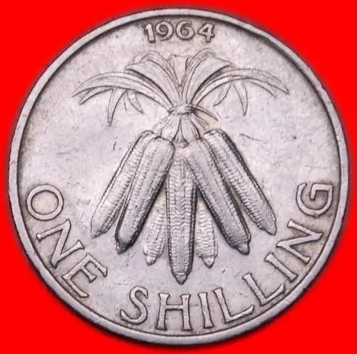 * MAIS: MALAWI★ 1 SHILLING 1964!