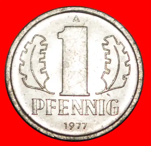 * HAMMER UND ZIRKEL (1960-1990): DEUTSCHLAND DDR ★ 1 PFENNIG 1977A VZGL STEMPELGLANZ! *  GERMANY ★