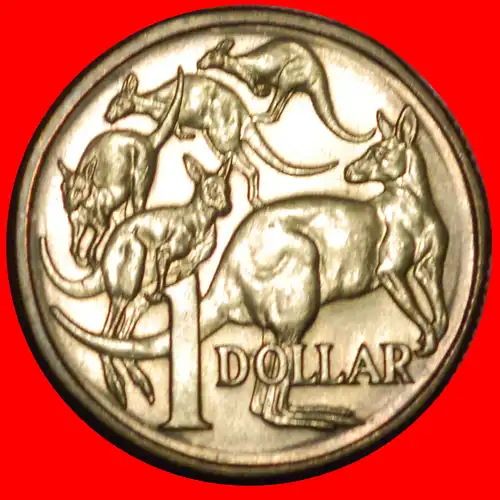 * 5 KÄNGURUS (1985-1998): AUSTRALIEN ★ 1 DOLLAR 1985 STG STEMPELGLANZ! ERSTES JAHR! * AUSTRALIA ★ 