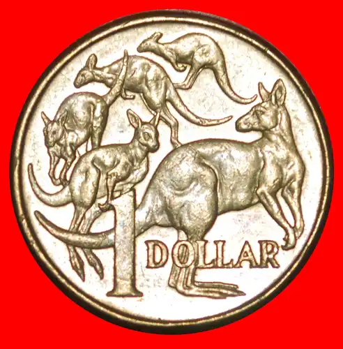 * 5 KÄNGURUS (2000-2019): AUSTRALIEN ★ 1 DOLLAR 2013! * AUSTRALIA ★ 