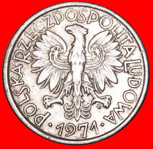 * FRÜCHTE (1958-1974): POLEN ★ 2 ZLOTY 1971!   * FRUITS: POLAND ★ 