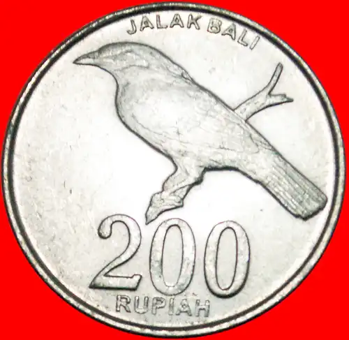 * VOGEL: INDONESIEN ★ 200 RUPIAH 2003! Nicht 2008! * INDONESIA ★ 
