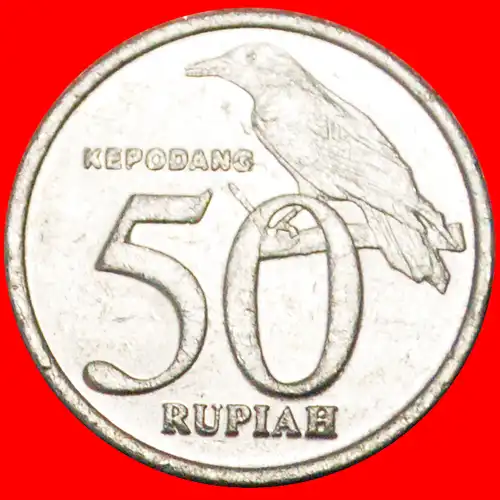 * VOGEL: INDONESIA ★ 50 RUPIAH 1999 VZGL STEMPELGLANZ! * INDONESIA ★ 