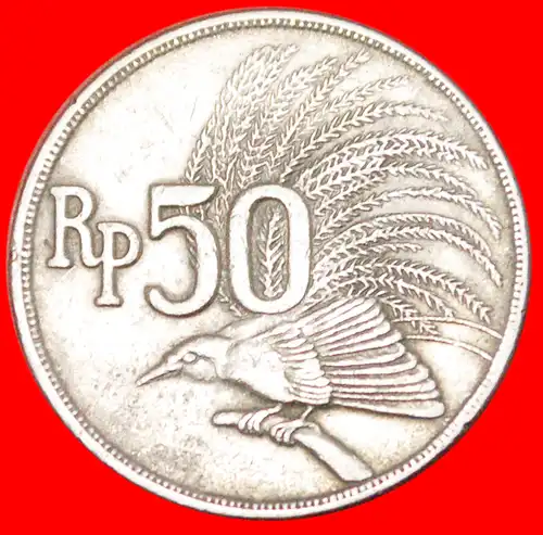 * PARADIESVOGEL ★ INDONESIEN ★ 50 RUPIAH 1971!  * INDONESIA ★ 