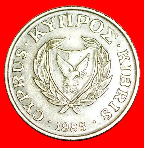 * GROSSBRITANNIEN (1983-2004): ZYPERN ★ 10 CENTS 1985! VASE MIT VÖGELN! * GREAT BRITAIN: CYPRUS ★ 