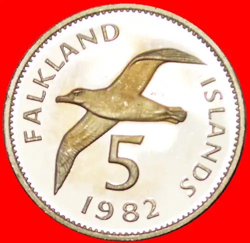 * GROSSBRITANNIEN ALBATROS (1974-1992): FALKLANDINSELN ★ 5 PENCE 1982 PP STEMPELGLANZ! * GREAT BRITAIN: FALKLAND ISLANDS★ PROOF!