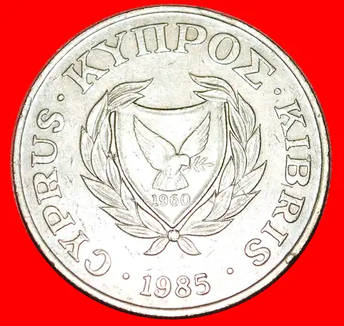 * VÖGEL (1983-1988): ZYPERN ★ 20 CENTS 1985! GROSSBRITANNIEN! * CYPRUS ★ GREAT BRITAIN! 