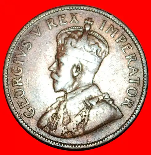 * SCHIFF (1926-1930): SÜDAFRIKA ★ 1 PENNY 1930! GEORG V. (1911-1936) * SHIP: SOUTH AFRICA ★