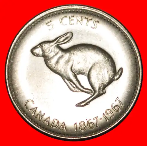 * HASE: KANADA ★ 5 CENT 1867-1967 STG STEMPELGLANZ! * RABBIT: CANADA ★