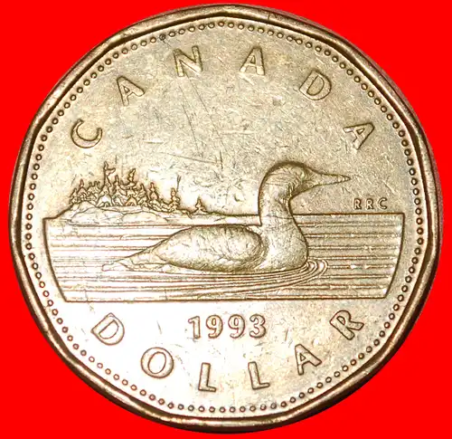 * GLÜCKLICHE LOONIE (1990-2003): KANADA ★ 1 DOLLAR 1993! * LUCKY LOONIE: CANADA ★