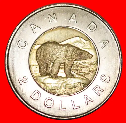 * EISBÄR (1996-2003): KANADA ★ 2 DOLLAR 1997 STG! * POLAR BEAR: CANADA ★