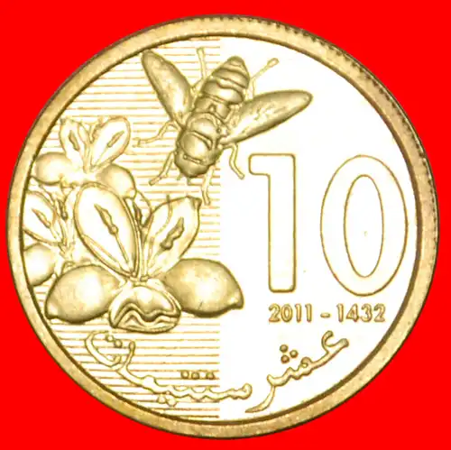 * BIENE: MAROKKO ★ 10 CENTIME 1432-2011 uSTG STEMPELGLANZ! MOHAMMED VI. (1999–) * BEE: MOROCCO ★