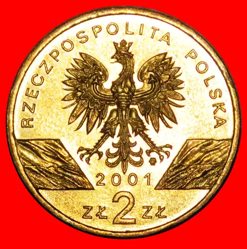 * SCHMETTERLING SELTEN: POLEN ★ 2 ZLOTY 2001 NORDISCHES GOLD STG STEMPELGLANZ! *RARE: POLAND ★ 