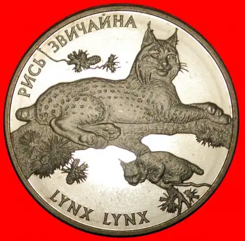 * VÖGEL UND SCHMETTERLING LUCHS: ukraine (früher die UdSSR, russland) ★ 2 GRIVNA 2001 STG STEMPELGLANZ! SELTEN! NEUSILBER! * LYNX: ukraine (ex. the USSR, russia) ★ RARE! GERMAN SILVER!