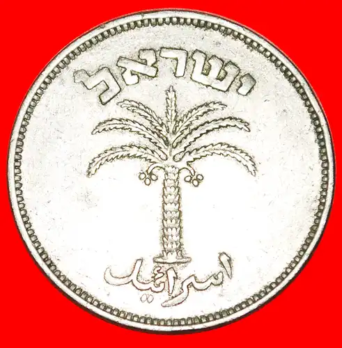 * PALME (1949-1955): PALÄSTINA (israel) ★ 100 PRUTA 5715 (1955)!  *  PALESTINE (israel) ★