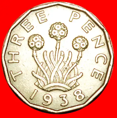 * GRASNELKEN (1937-1948): GROSSBRITANNIEN ★ 3 PENCE 1938 GEORG VI. (1937-1952)! * THRIFT: UNITED KINGDOM ★ GREAT BRITAIN ★