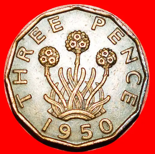 * GRASNELKEN (1949-1952): GROSSBRITANNIEN ★ 3 PENCE 1950 GEORG VI. (1937-1952)! * THRIFT: UNITED KINGDOM ★ GREAT BRITAIN ★