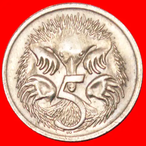 * ECHIDNAS (1966-2022): AUSTRALIEN ★ 5 CENT 1968! * AUSTRALIA ★  