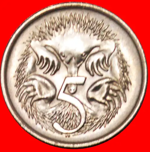 * ECHIDNAS (1966-2022): AUSTRALIEN ★ 5 CENT 1980 uSTG STEMPELGLANZ!  * AUSTRALIA ★  