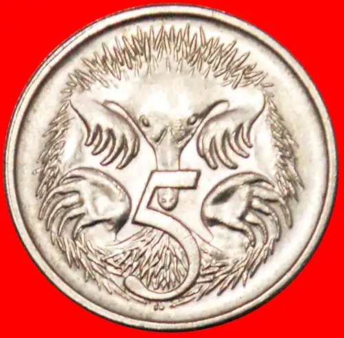 * ECHIDNAS (1966-2022): AUSTRALIEN★ KANADA 5 CENT 1981 SELTEN uSTG STEMPELGLANZ!  * ECHIDNAS: AUSTRALIA ★ CANADA RARE!