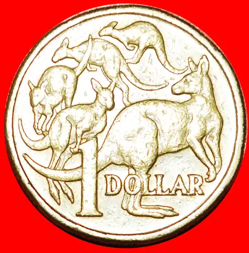 * 5 KÄNGURUS: AUSTRALIEN ★ 1 DOLLAR 1984! JAHR = TYP! * 5 KANGAROOS: AUSTRALIA ★ 