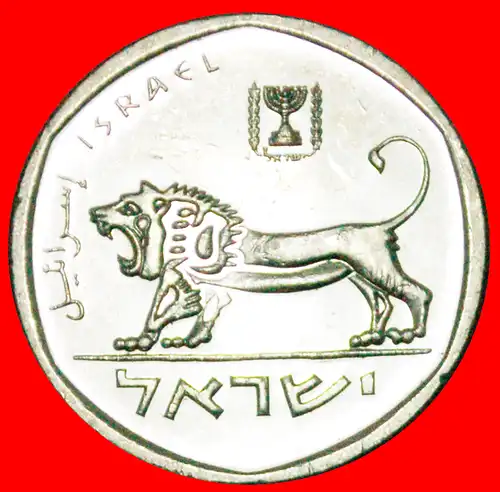 * LÖWE: PALÄSTINA (israel) ★ 1/2 SHEKEL 5740 (1980) uSTG STEMPELGLANZ! * LION: PALESTINE (israel) ★