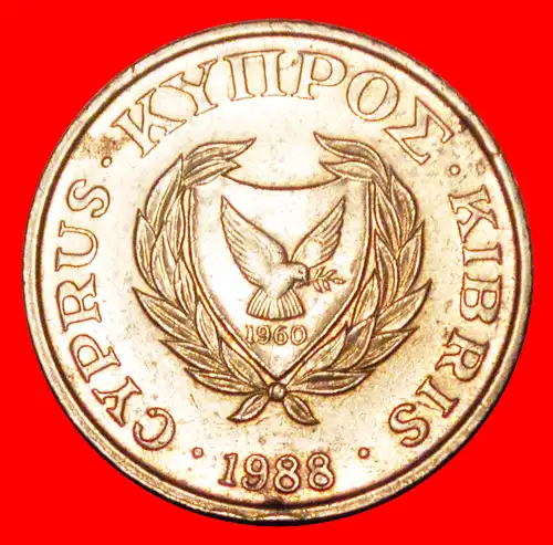 * SILBERNE SCHÜSSEL: ZYPERN ★ 5 CENTS 1988 BUKRANION! GROSSBRITANNIEN! * GREAT BRITAIN: CYPRUS ★ 