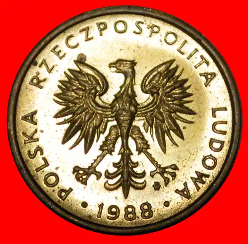 * SOZIALISTISCHE STERNE AUF KLEINER ADLER (1978-1988): POLEN ★ 5 ZLOTY 1988 STG STEMPELGLANZ!   * SOCIALIST STARS ON EAGLE: POLAND ★