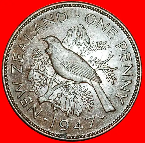 * VOGEL (1940-1947): NEUSEELAND ★ PENNY 1942! KEY DATE! GEORG VI.(1937-1952) * BIRD: NEW ZEALAND ★ KEY DATE!