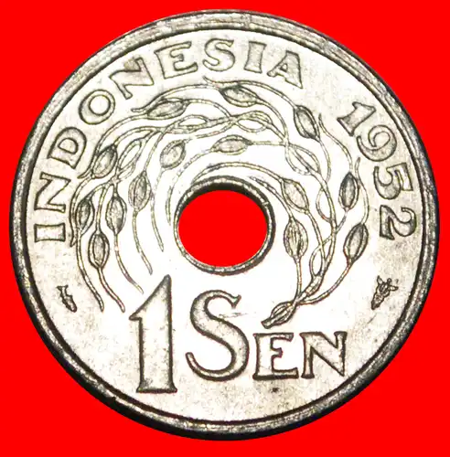 * NIEDERLANDE: INDONESIEN ★ 1 SEN 1952 uSTG STEMPELGLANZ! UNGEWÖHNLICH!  * NETHERLANDS: INDONESIA ★ UNCOMMON!