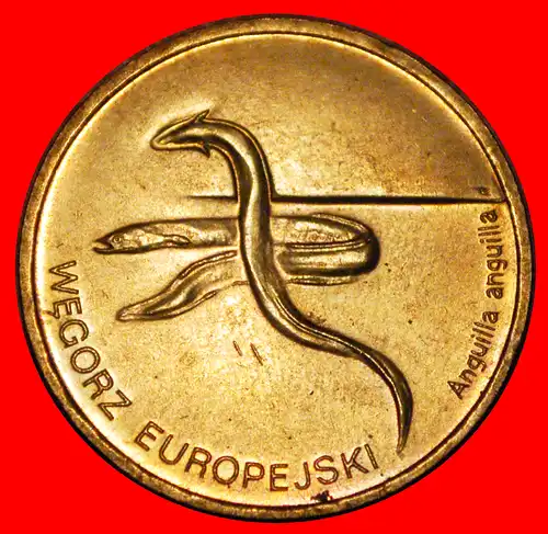 * AALARTIGE SELTEN: POLEN ★ 2 ZLOTY 2003 NORDISCHES GOLD STG STEMPELGLANZ! * EEL RARE: POLAND ★