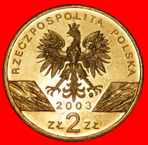 * AALARTIGE SELTEN: POLEN ★ 2 ZLOTY 2003 NORDISCHES GOLD STG STEMPELGLANZ! * EEL RARE: POLAND ★