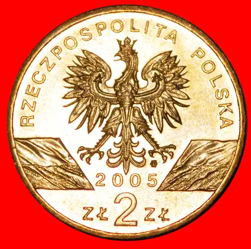 * UHUS UNGEWÖHNLICH: POLEN ★ 2 ZLOTY 2005 NORDISCHES GOLD STG STEMPELGLANZ! * EAGLE-OWL UNCOMMON: POLAND ★