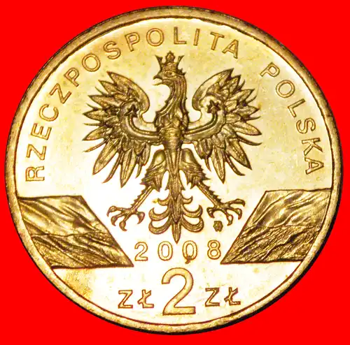 * FALKE: POLEN ★ 2 ZLOTY 2008 NORDISCHES GOLD STG STEMPELGLANZ! * FALCON: POLAND ★