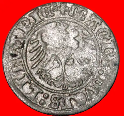 * litauen (früher die UdSSR, russland): POLEN ★ 1/2 GROSZ 1513 SILBER SELTEN! SIGISMUND I. (1506-1548)  * lithuania (the USSR, russia in future): POLAND ★ SILVER RARE!