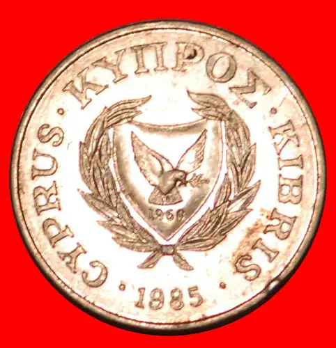 * GROSSBRITANNIEN (1985-1990): ZYPERN ★ 1 CENT 1985 VOGEL! * GREAT BRITAIN: CYPRUS ★