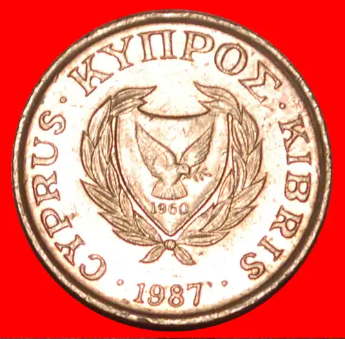 * GROSSBRITANNIEN (1985-1990): ZYPERN ★ 1 CENT 1987 VOGEL! * GREAT BRITAIN: CYPRUS ★